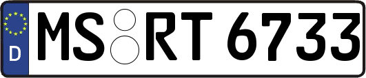 MS-RT6733