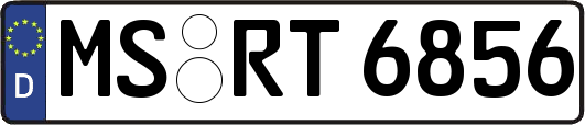 MS-RT6856