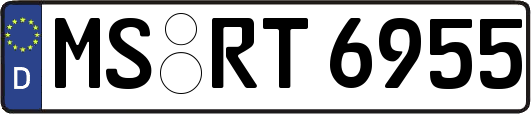 MS-RT6955