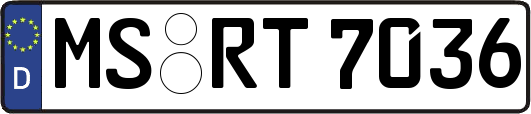 MS-RT7036
