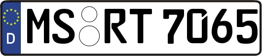 MS-RT7065