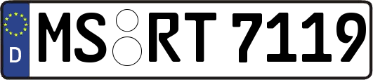 MS-RT7119