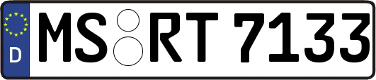 MS-RT7133