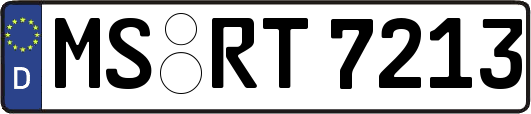 MS-RT7213