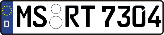 MS-RT7304