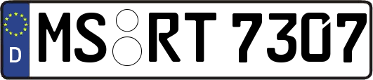 MS-RT7307