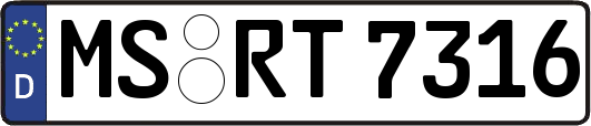 MS-RT7316