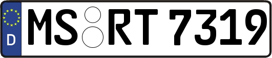 MS-RT7319