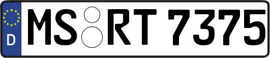 MS-RT7375