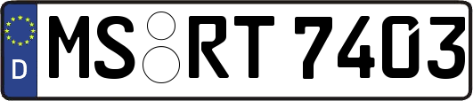 MS-RT7403