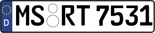 MS-RT7531