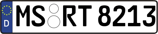 MS-RT8213