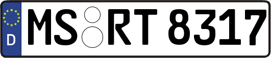 MS-RT8317
