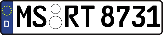 MS-RT8731
