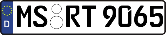 MS-RT9065