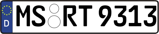 MS-RT9313