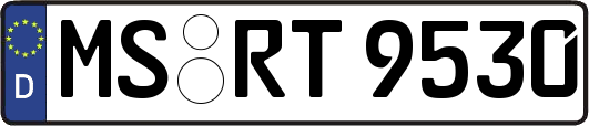MS-RT9530