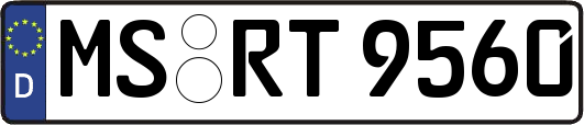 MS-RT9560