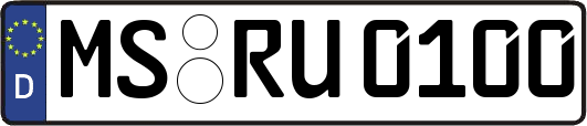 MS-RU0100