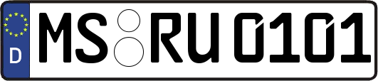 MS-RU0101
