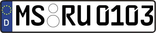 MS-RU0103