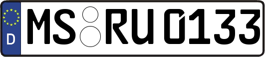 MS-RU0133