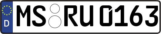 MS-RU0163
