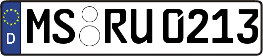 MS-RU0213