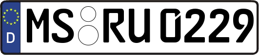 MS-RU0229