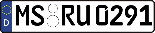 MS-RU0291