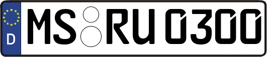 MS-RU0300
