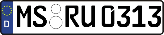 MS-RU0313
