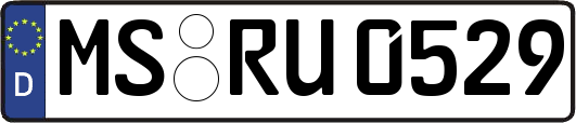 MS-RU0529