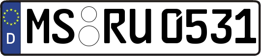 MS-RU0531