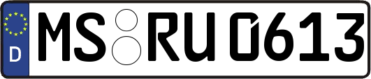 MS-RU0613