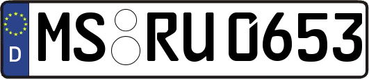 MS-RU0653