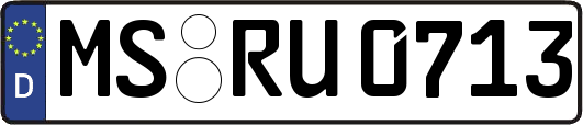 MS-RU0713