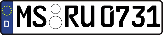 MS-RU0731