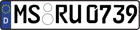 MS-RU0739