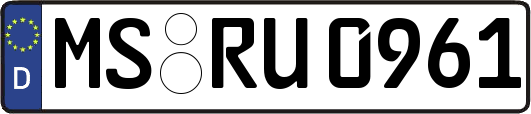 MS-RU0961
