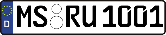MS-RU1001