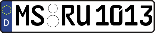 MS-RU1013