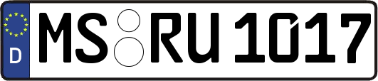 MS-RU1017
