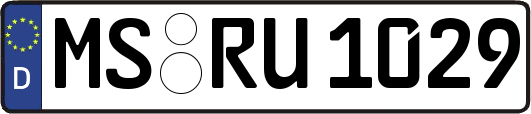 MS-RU1029