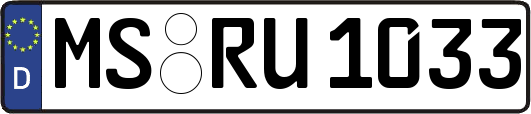 MS-RU1033