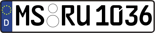 MS-RU1036