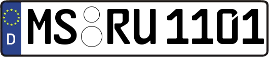MS-RU1101