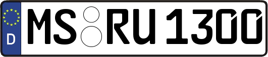 MS-RU1300