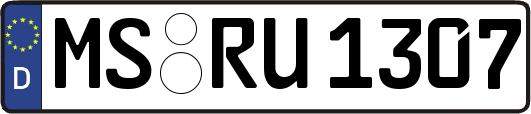 MS-RU1307