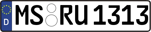 MS-RU1313